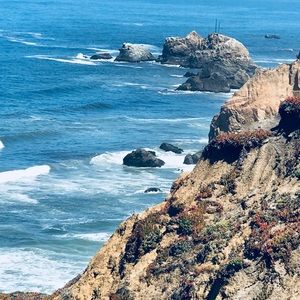 Meet your Posher, Maya